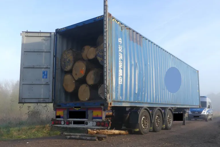 Alsfeld – Sattelzug mit Eichenholz zu schwer und falsch beladen