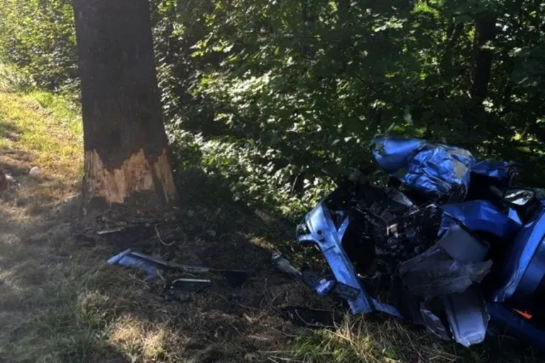 Gemarkung Freiburg - Tödliche Kollision mit einem Baum 