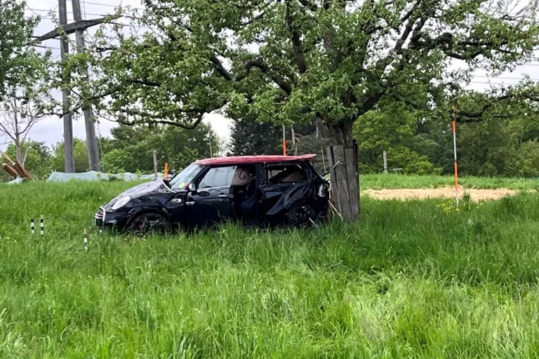 Wetzikon ZH - Flucht vor der Polizei endet mit Unfall 