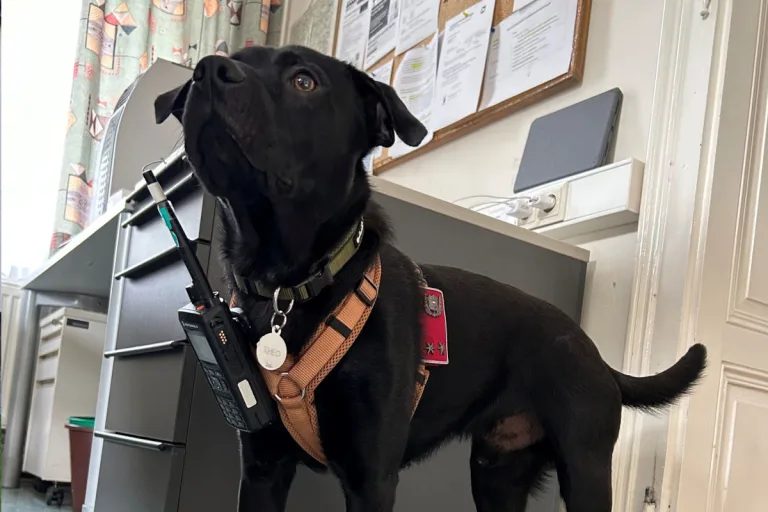 Spitz NÖ – Besuch von Polizeihund Theo