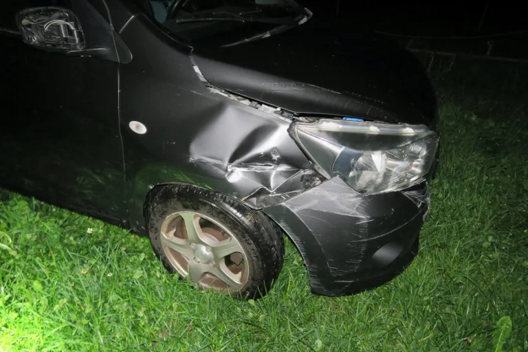 Niederurnen GL – Mit Auto durch Zaun gekracht und auf Wiese gelandet