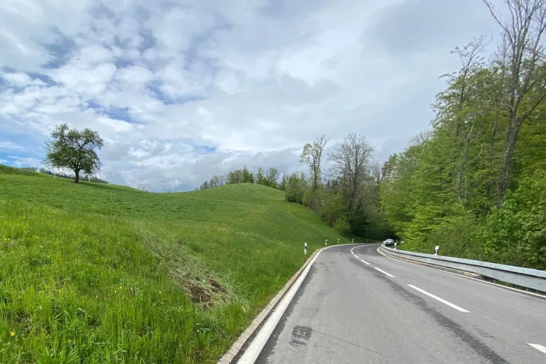 Langnau am Albis ZH – Unfallfahrer verursacht Flurschaden