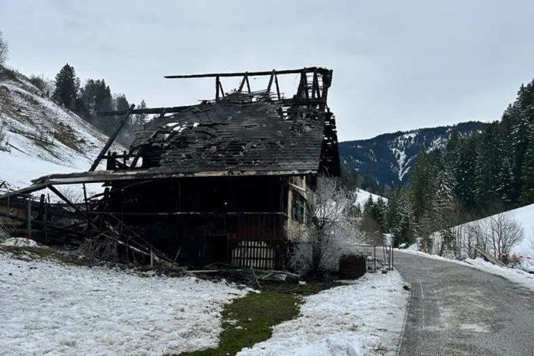 Wiggen LU - Drei Kinder nach Brand tot