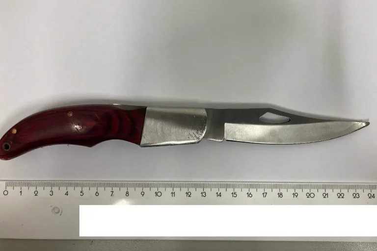 Mann fuchtelt mit Messer in Wien herum - Polizisten müssen Waffen ziehen um ihn zu stoppen