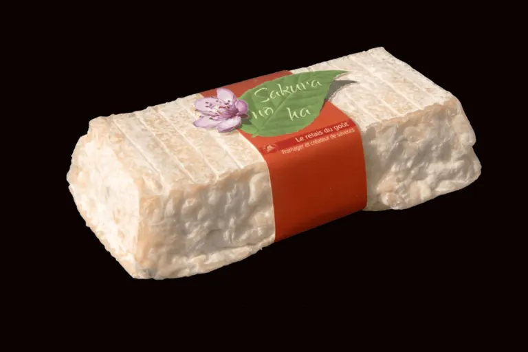Öffentliche Warnung - E. coli-Bakterien in Käse