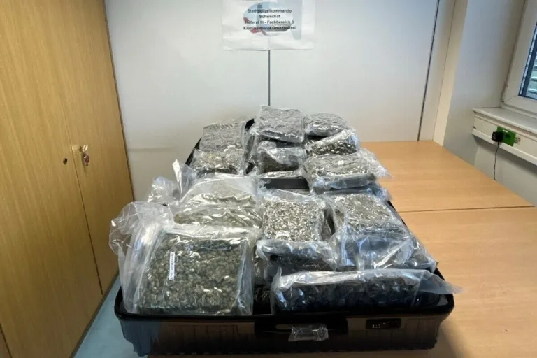 Flughafen Wien-Schwechat – Koffer gefüllt mit 40 Paketen Cannabiskraut 