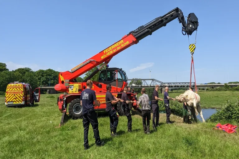 Mülheim an der Ruhr - Feuerwehr rettet eine Kuh