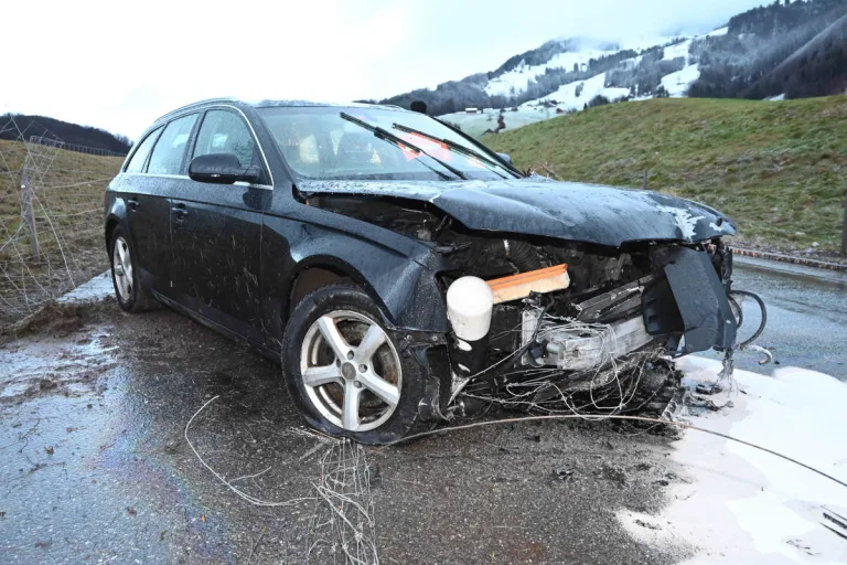 Schänis SG – In fahrunfähigem Zustand Selbstunfall gebaut