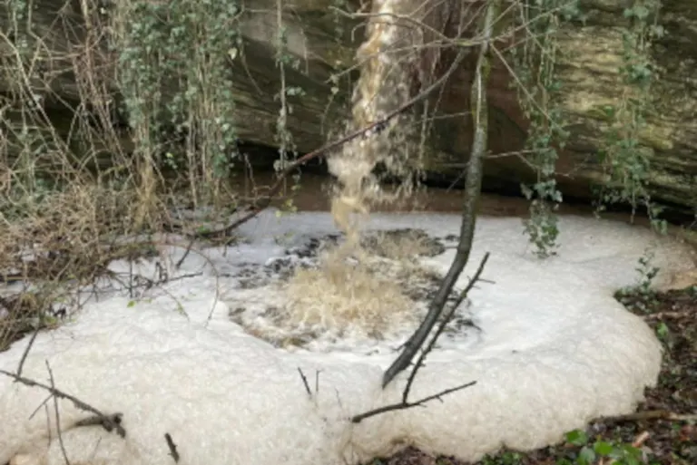 Châbles FR – Verschmutzung des Baches «Crêt Moron»