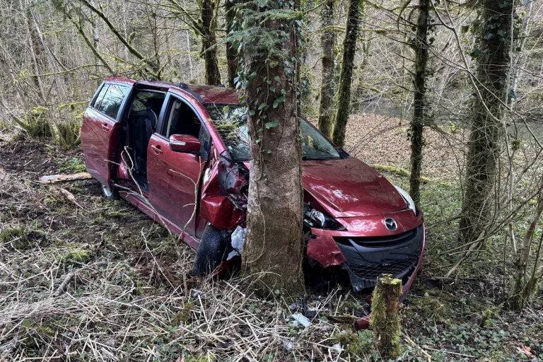 Selbstunfall in Röschenz BL – Alkoholisierter Autolenker kommt von Strasse ab