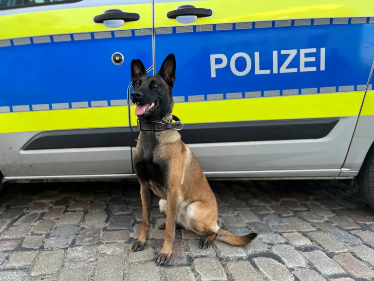 Hamburg – Sieben Einbrecher mithilfe von Diensthündin gefasst