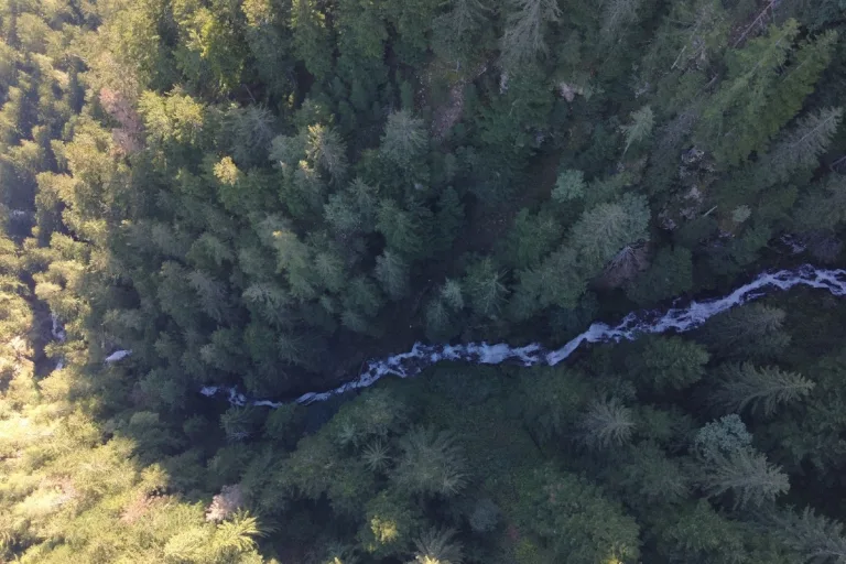 Miralago GR - 50-jähriger Pilzsammler tödlich verunfallt