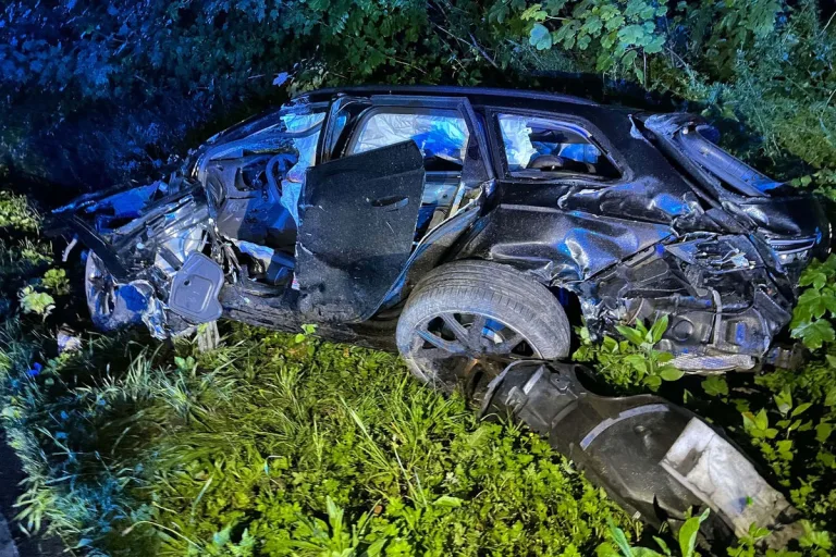 Lippe NRW – Alkoholisierter Autofahrer prallt gegen Leitpfosten