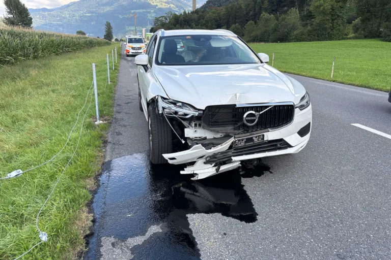 Bilten GL – Unfall wegen Wespe im Auto