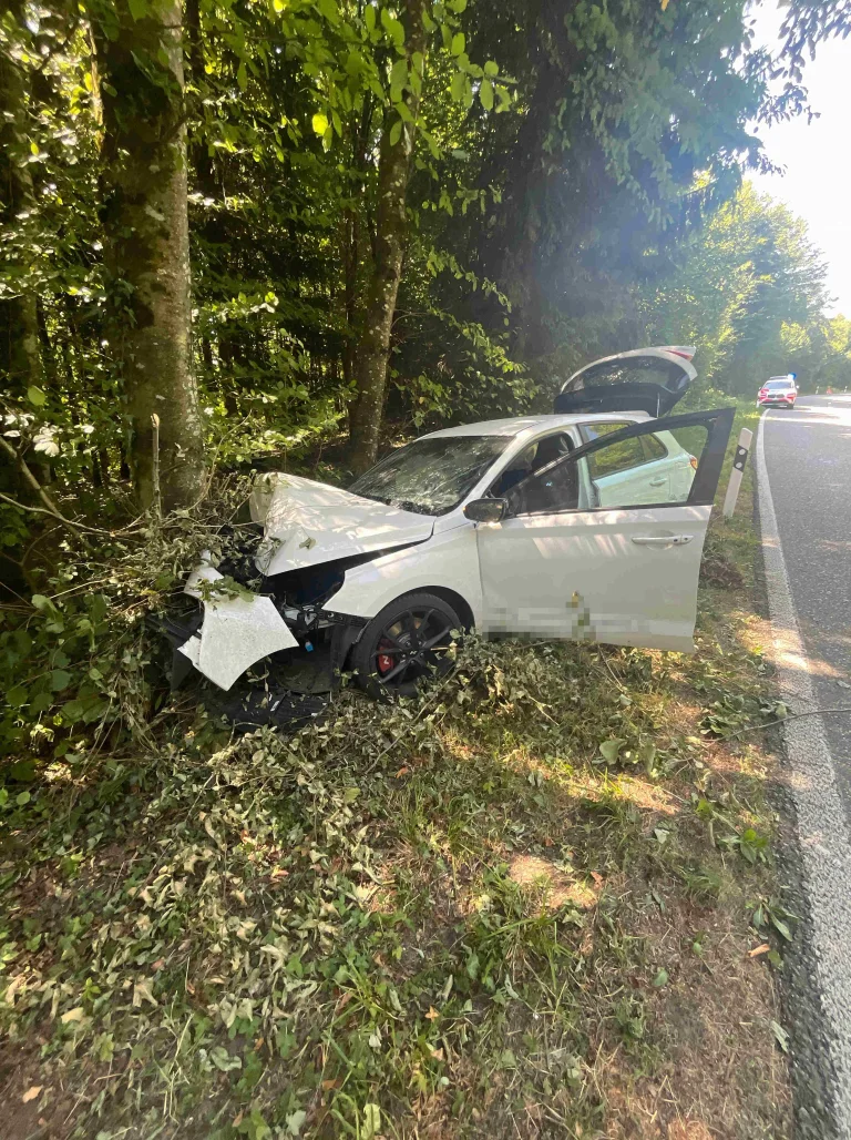 Fulenbach SO – Auto prallt nach Ausweichmanöver gegen Baum