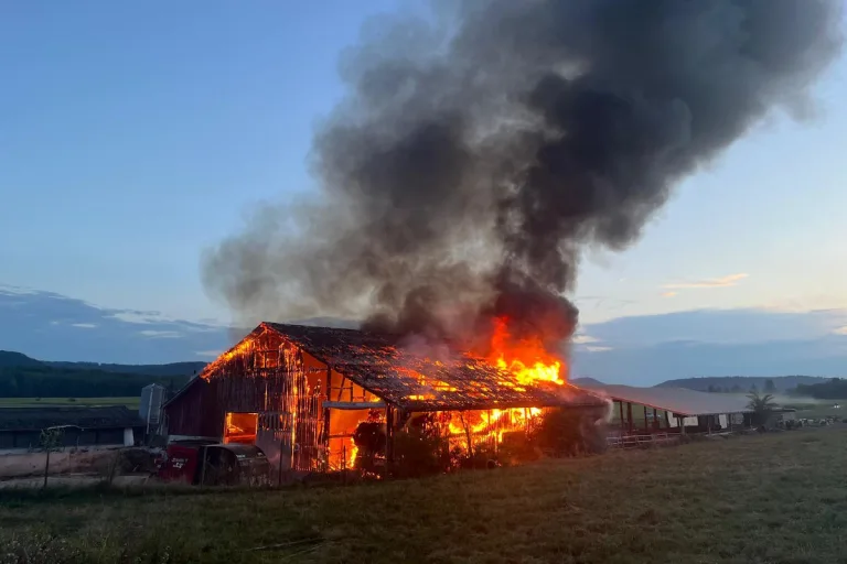 Trasadingen SH - Grossbrand eines Stalls