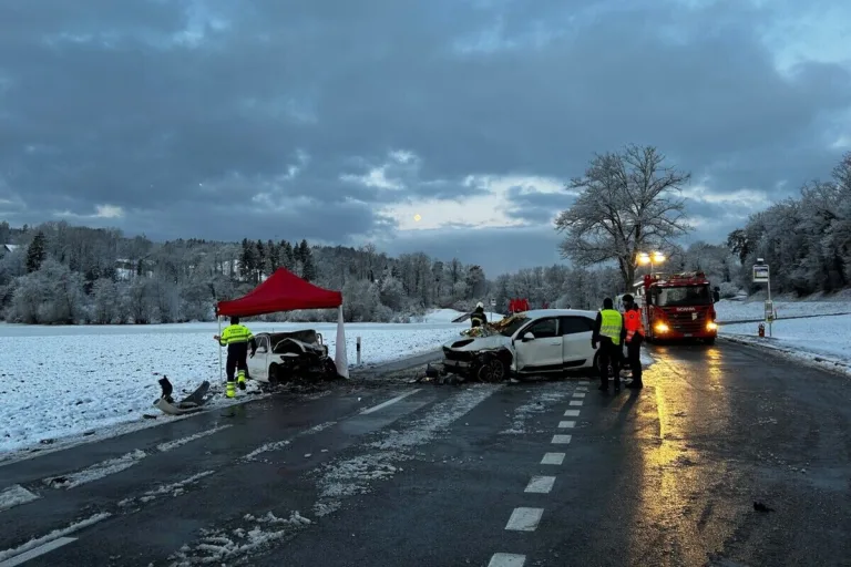 Endingen AG – Porsche und Skoda frontal zusammengestossen - ein Todesopfer