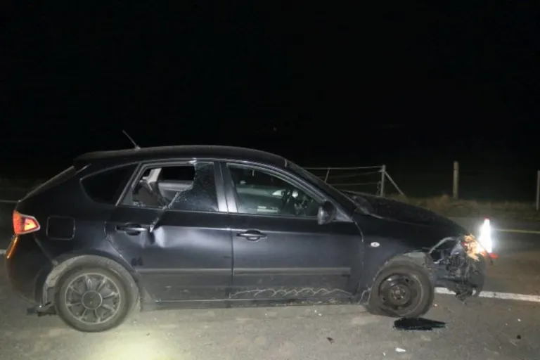Bilten GL – Fuchs ausgewichen und in Baustelle gekracht