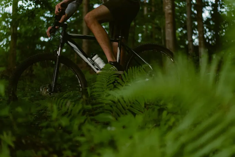 Scheibbs NÖ – Mountainbiker stürzt in Fluss