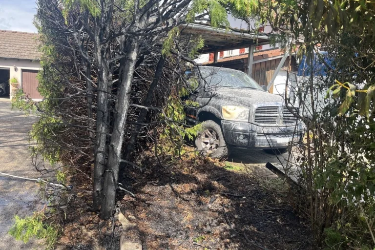 Ramsen SH - Abflammen von Unkraut führt zu Brand