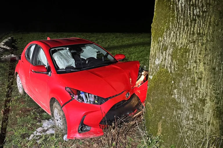 Bodelwitz TH – Autofahrer kollidiert mit Baum und flüchtet