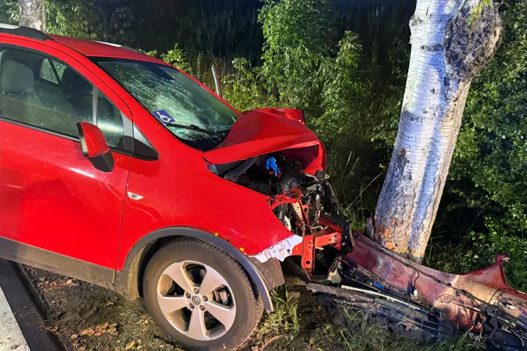 L124 Stade NI – Autofahrer (83) stirbt bei Unfall