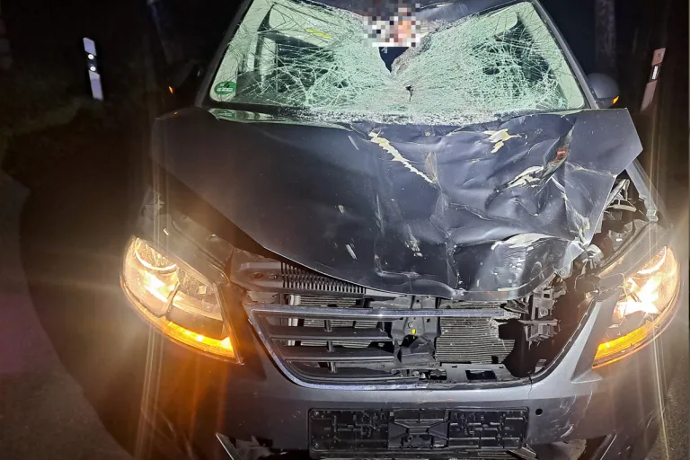 Ahlerstedt – Zwei Verletzte nach Unfall von Auto mit Pferd