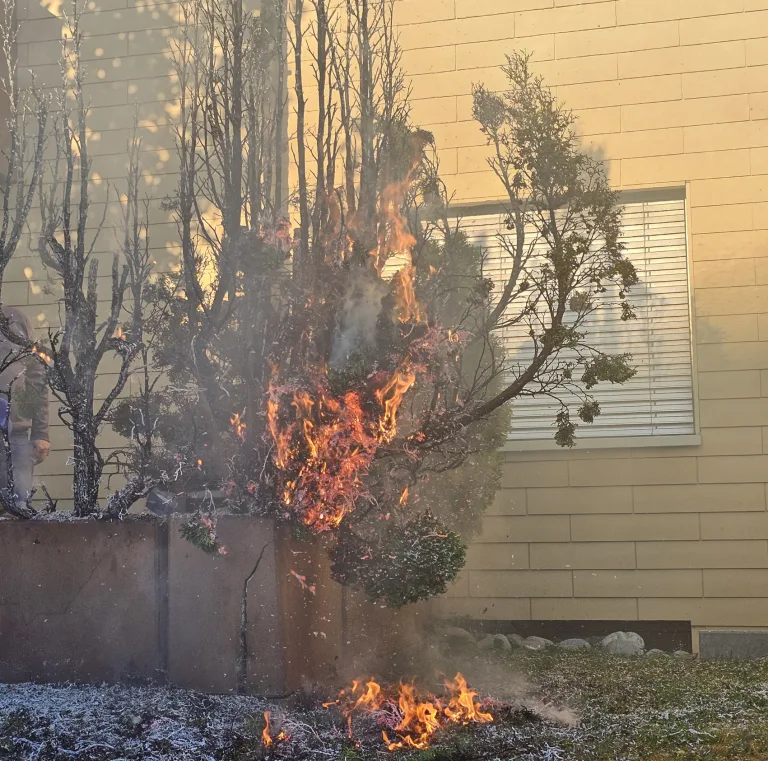 Sursee LU – Gartenhecke gerät in Brand