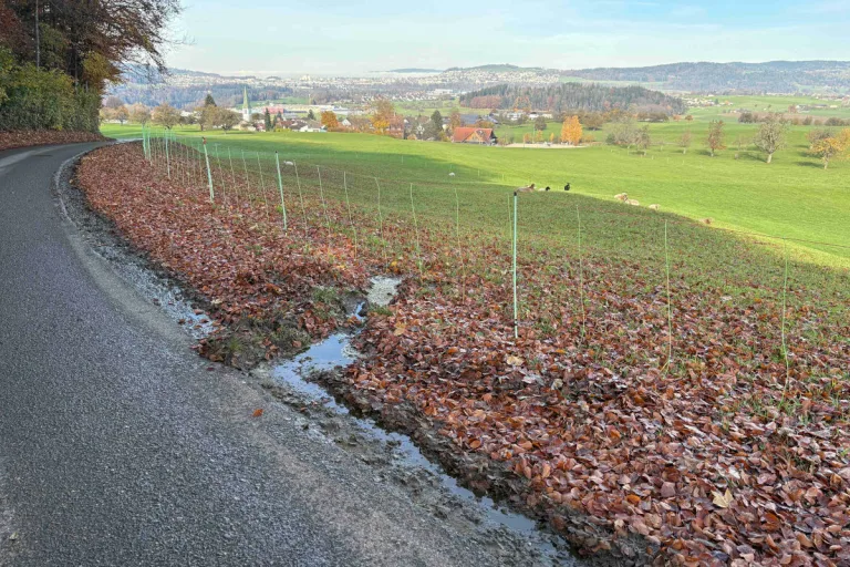 Jonschwil SG – Gülle läuft nach Leitungsdefekt in Bach
