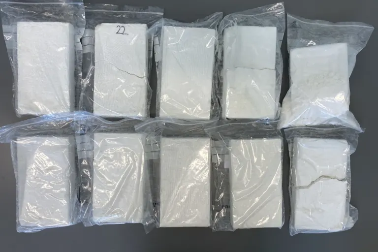 Aargau -  Zwanzig Kilogramm Kokain sichergestellt