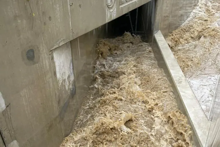 Liestal BL - Heftiges Gewitter mit Starkregen führte zu vielen Feuerwehreinsätzen 