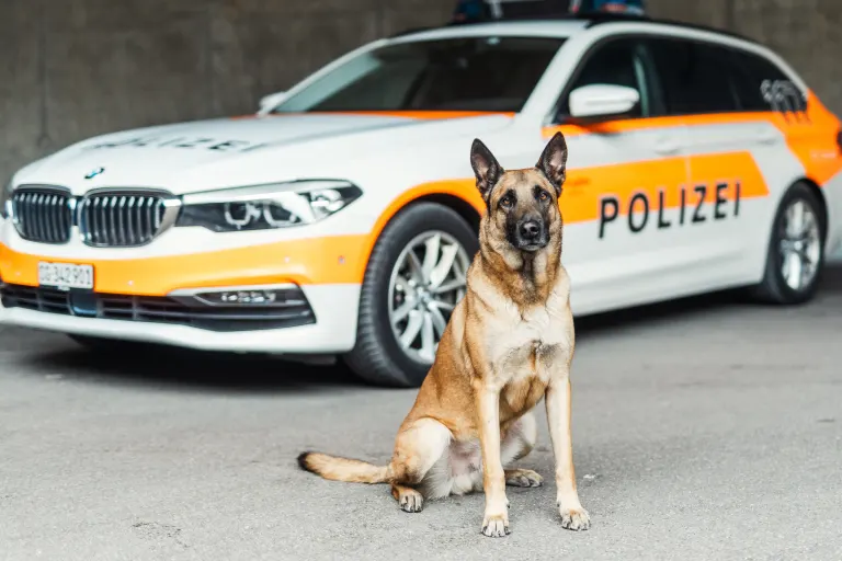 Stadt St. Gallen: Diensthund Jasper spürt 26-jährigen Ladendieb auf