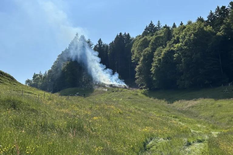 Urnäsch AR - Wind löst Waldbrand aus