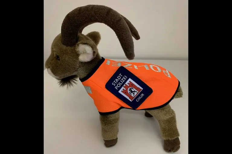 Chur GR – Praxisunterricht NEU mit "CORNI" dem Steinbock!