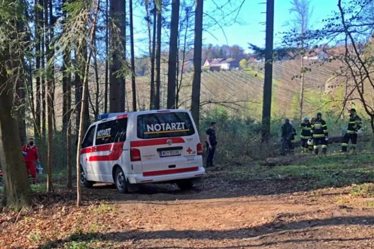 Sankt Ruprecht an der Raab - Mann bei Arbeitsunfall schwer verletzt
