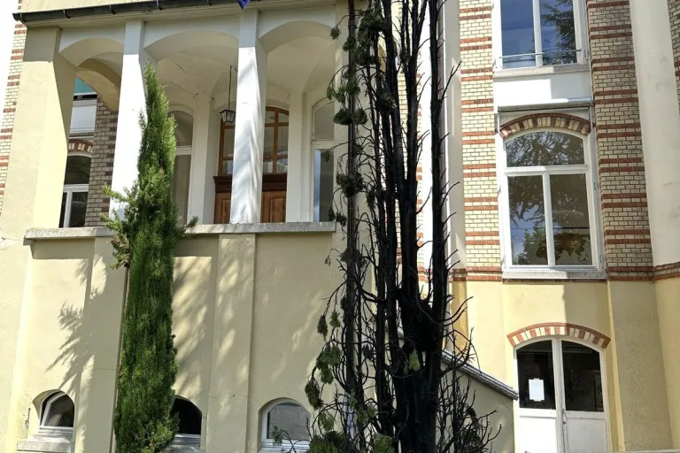 Herisau AR – Thuja-Baum bei Unkrautbekämpfung in Brand geraten