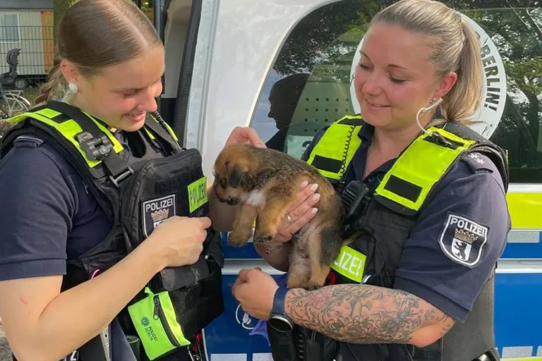 Tierische Rettungen von Feuerwehr und Polizei 2025 – Teil 1