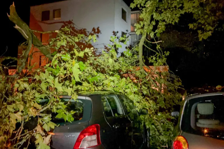 St.Gallen - Unwetter verursacht viel Arbeit für die Stadtpolizei 