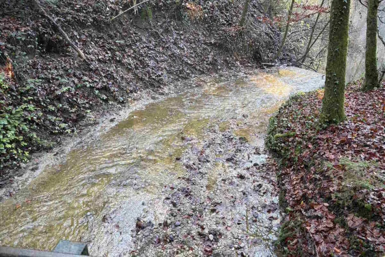 Dietschwil SG – Rund 100 Liter Gülle in Bach gelangt