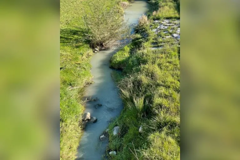 Vuisternens-devant-Romont FR – Verschmutzung des Baches Grands-Marais