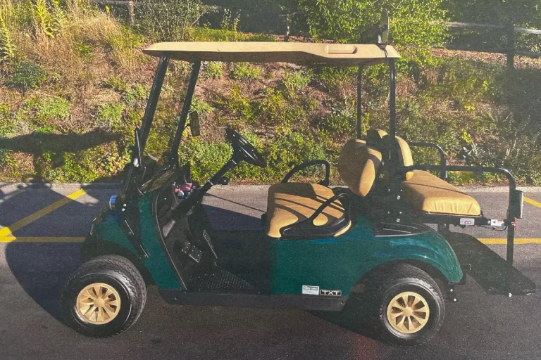 Neuhausen am Rheinfall SH – Dank Hinweisen Elektro-Trolley gefunden