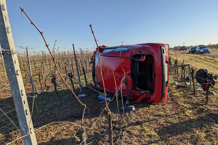 Niederkirchen - Fahrt endet im Weinberg