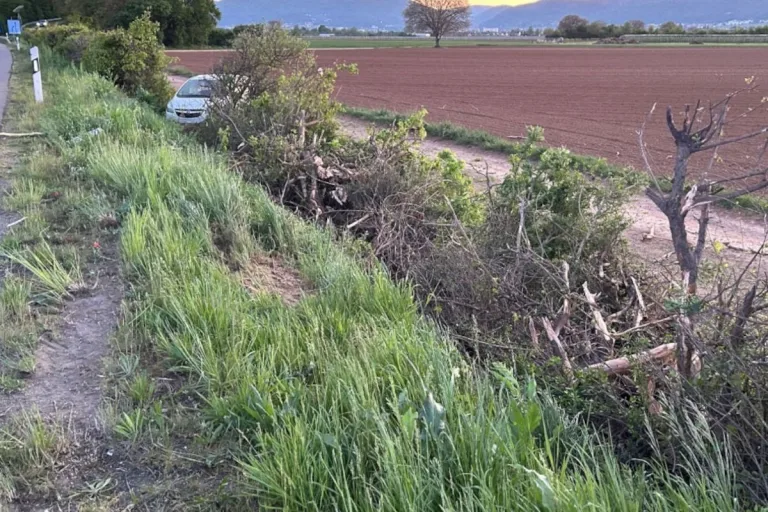 A65 Neustadt – Betrunkener Fahrer verursacht Unfall