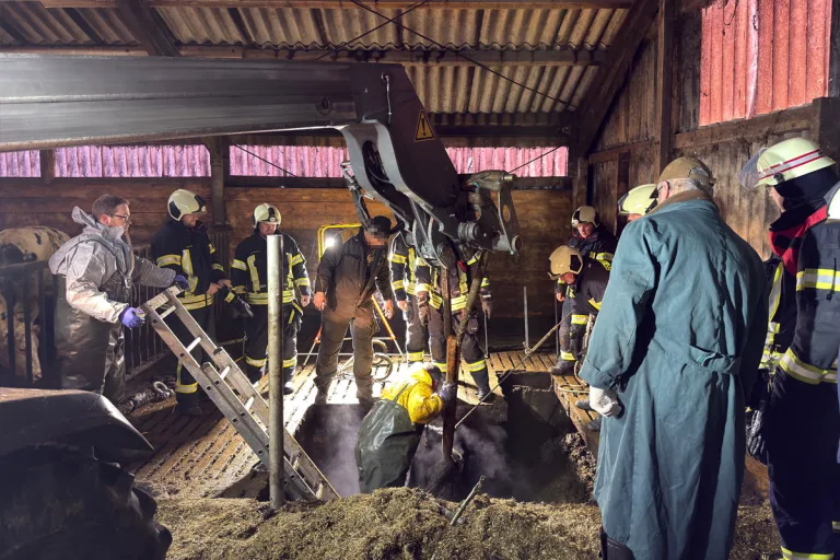 Aurich – Feuerwehr rettet zwei Kühe aus Güllegrube