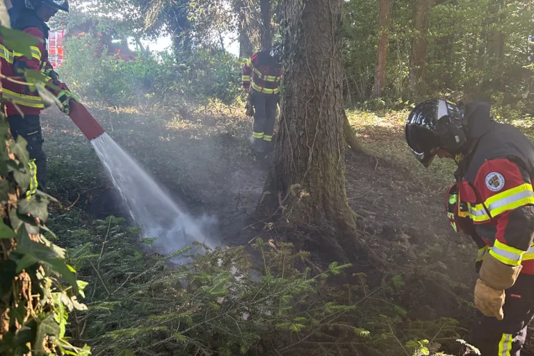 Braunau TG – Mottbrand in Waldstück ausgebrochen