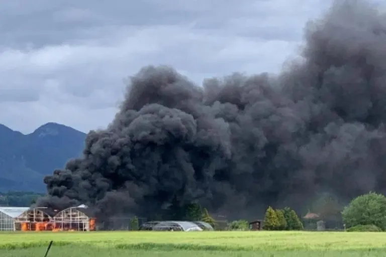 Brand und Explosionen in Aegerten BE - Blumengeschäft brennt lichterloh - 11 Fahrzeuge komplett zerstört!