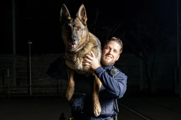 Sarmenstorf / Fahrwangen AG - Polizeihund Quinto verhindert Flucht