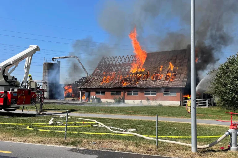 Siebnen SZ – Stallgebäude bei Brand zerstört