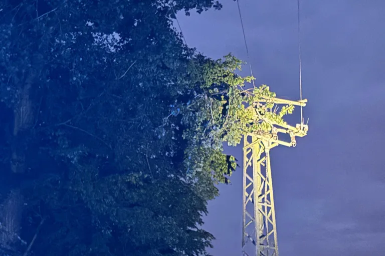 Alpen NW – Äste stürzen auf Stromleitung und verursachen Stromausfall