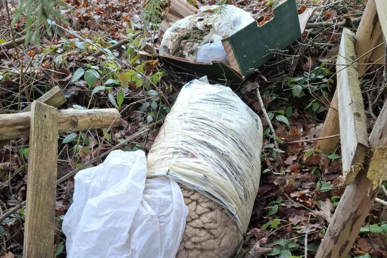 Ingoldingen – Schlachtabfälle illegal am Waldrand entsorgt